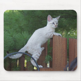 Savannah Cat Mousepad