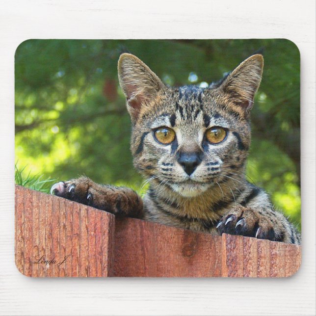 Savannah Cat Mousepad (Frente)