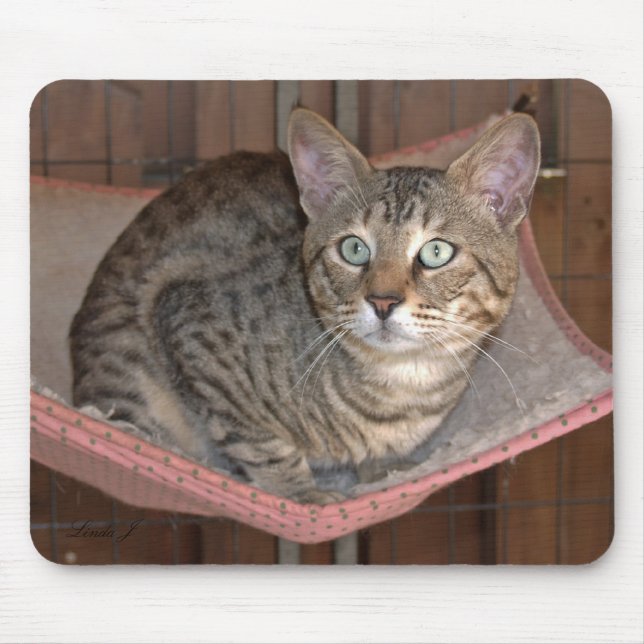 Savannah Cat Mousepad (Frente)