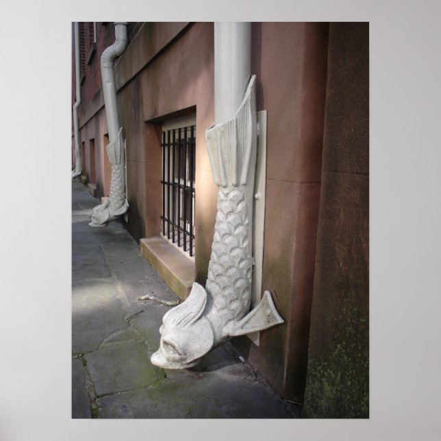 Savannah Gargoyle enquadrou Impressão (Frente)