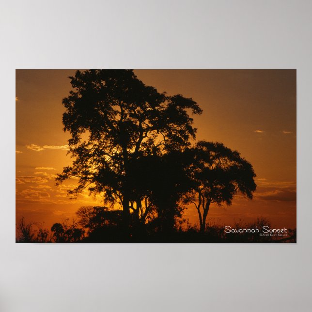 Savannah Sunset Poster (Frente)