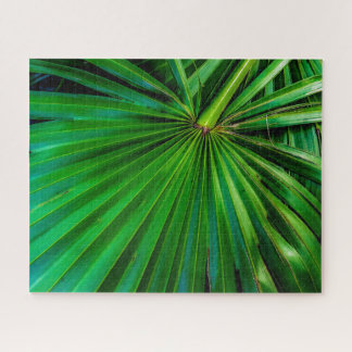 Saw Palmetto Fan Quebra-cabeça