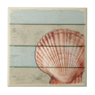 Scallop Shell