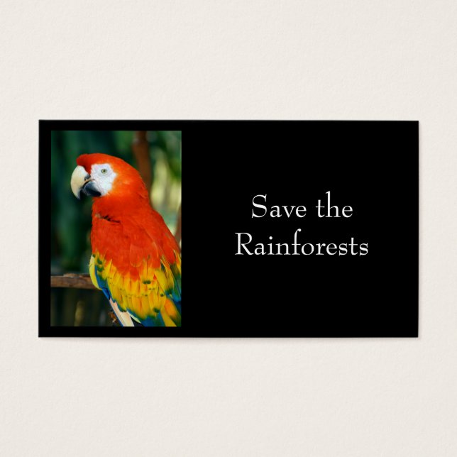 Scarlet Macaw (Frente)
