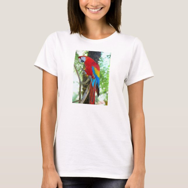 Scarlet Macaw, papagaio na camiseta feminina (Frente)