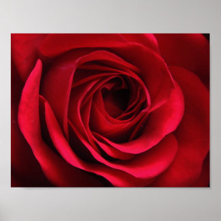 Scarlet Matte Poster