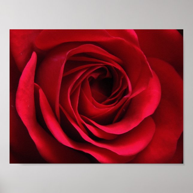 Scarlet Matte Poster (Frente)