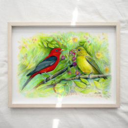 Scarlet Tanager Birds Watercolor Art Impressão