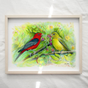 Scarlet Tanager Birds Watercolor Art Impressão