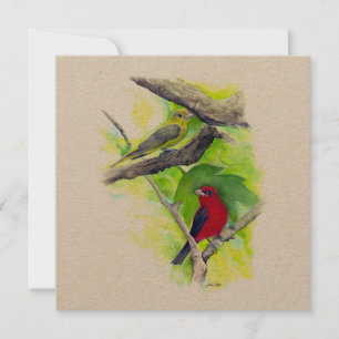 Scarlet Tanager Casal Art
