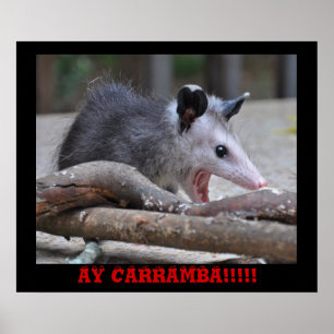 Scary Possum - Poster