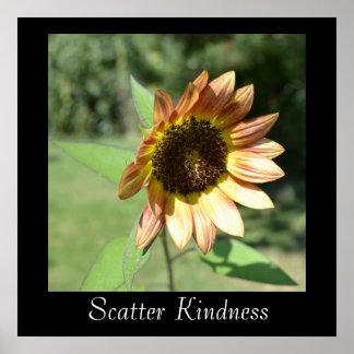 Scater Kindness Poster de Girassol