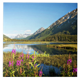 Scenic Alaska, Rotulado,