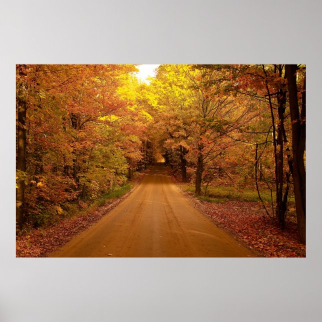 Scenic Drive Poster (Frente)