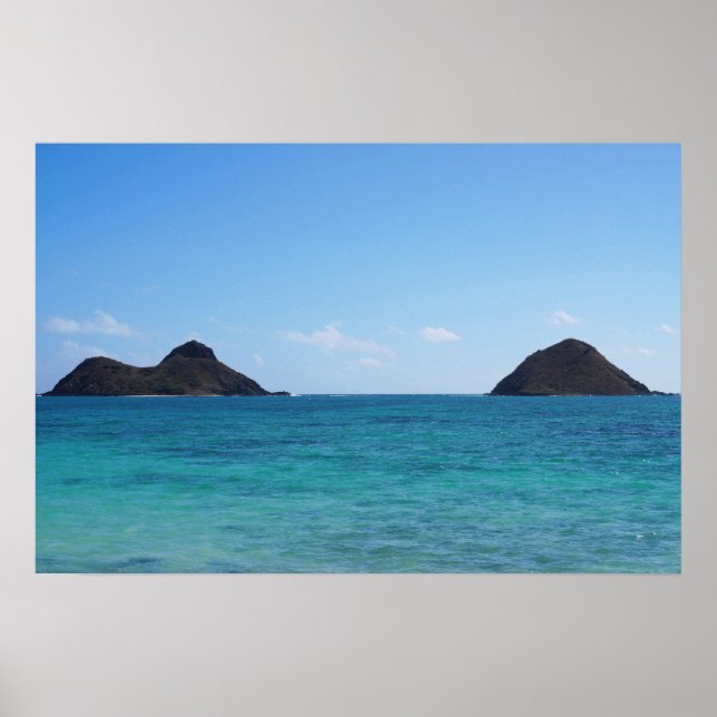 Scenic Hawaii Ocean View Poster (Frente)