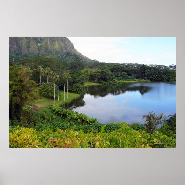 Scenic Hawaiian View Poster (Frente)