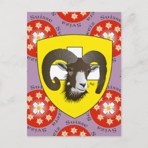 Schaffhausen Suíça cartão postal