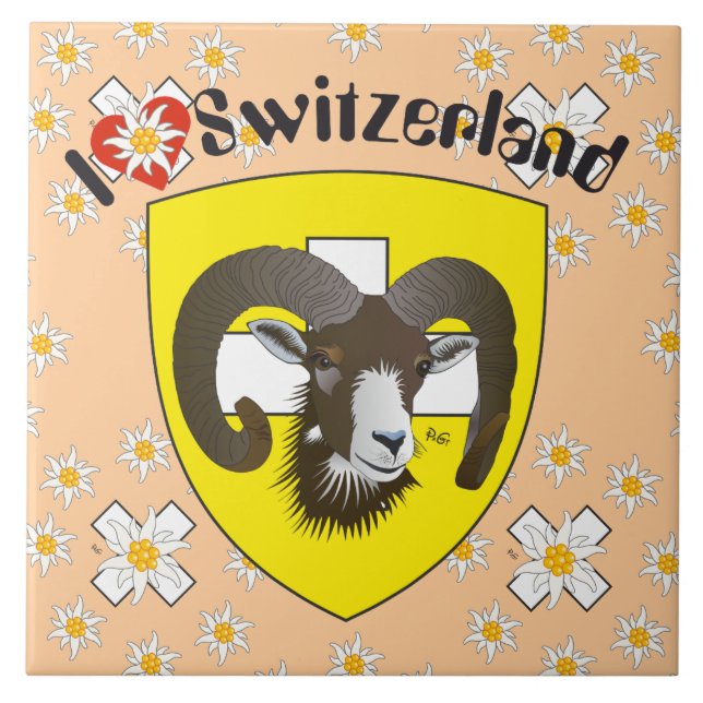 Schaffhausen - Suíça Suisse - Svizzera lajota (Frente)
