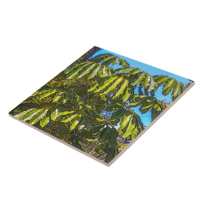 Schefflera Umbrellas Ceramic Tile (Lateral)