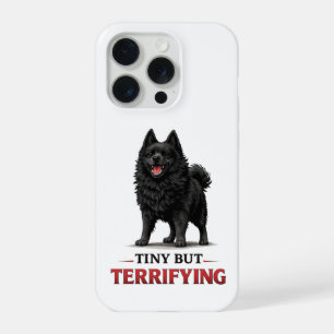 Schipperke Minúsculo Mas Terrível