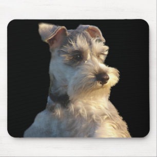 Schnauzer diminuto Mousepad
