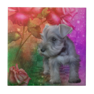 Schnauzer Puppy Dog Animal Art