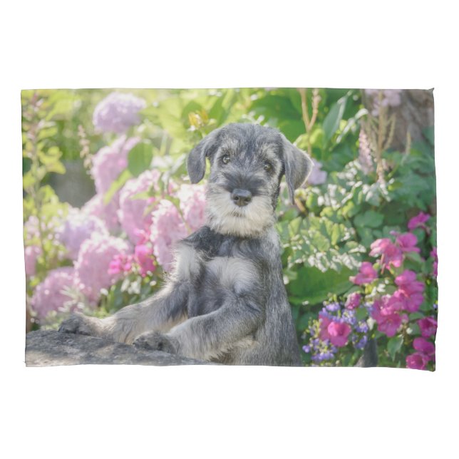 Schnauzer Puppy Padrão em Jardim de Flor - (Frente)