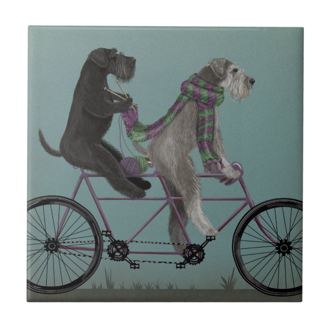 Schnauzer Tandem (Frente)