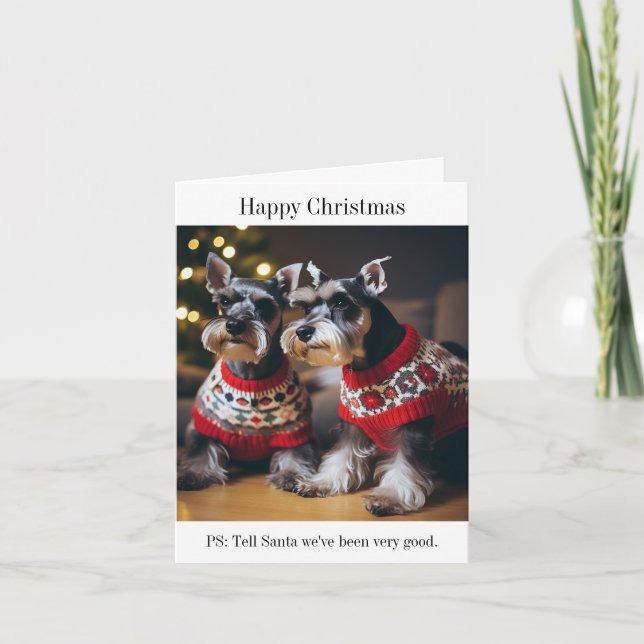 Schnauzers Vestindo Cartão de Suéteres de Natal (Frente)