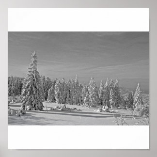 Schneelandschaft schwarz/weiss Poster