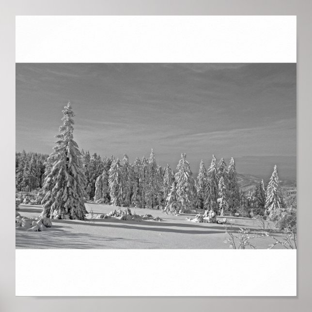 Schneelandschaft schwarz/weiss Poster (Frente)