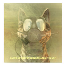 Schrödinger subestima o poster de gato