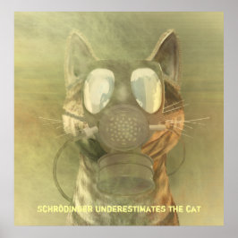 Schrödinger subestima o poster de gato