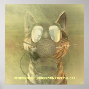 Schrödinger subestima o poster do gato
