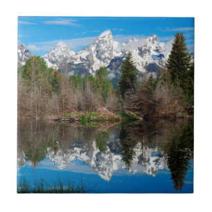 Schwabacher's Landing, Grand Teton