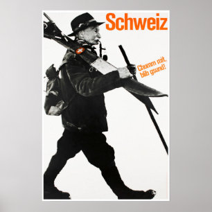 Schweiz, poster do esqui do viagem