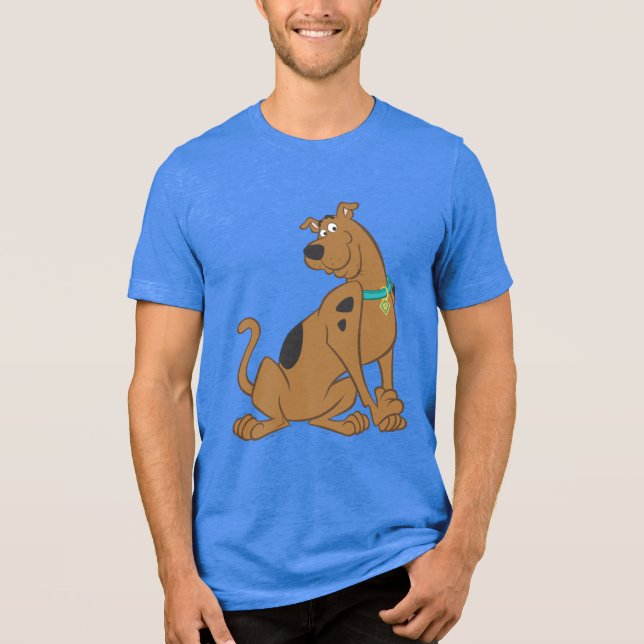 Scooby-Doo Bashful Pose (Frente)
