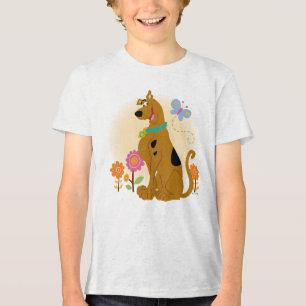 Scooby-Doo depois da borboleta
