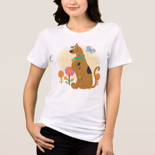Scooby-Doo depois da borboleta