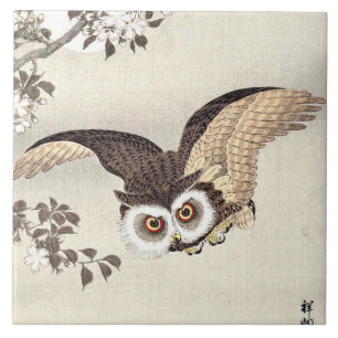 Scop Owl, Cherry Blossoms e Lua Japonês