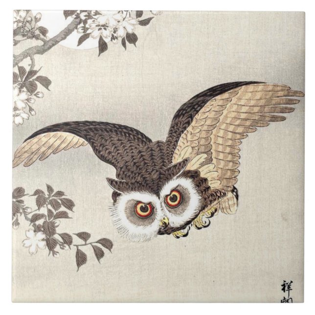 Scop Owl, Cherry Blossoms e Lua Japonês (Frente)