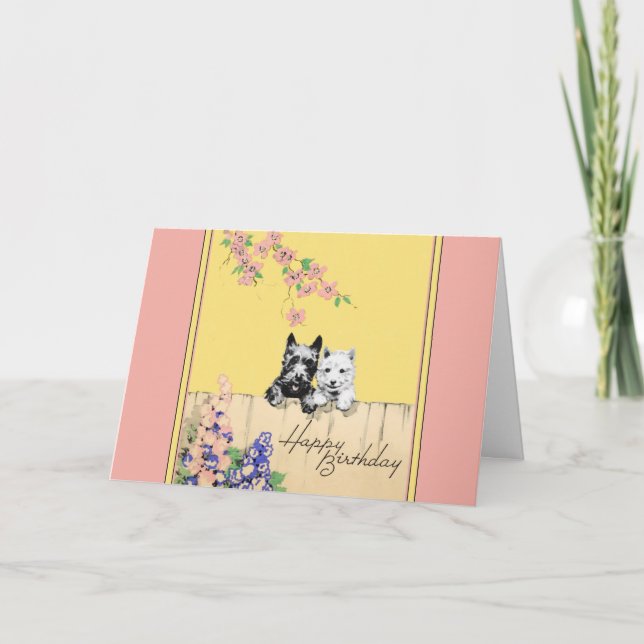 Scottie Dog Cartão de aniversário para uma senhora (Frente)