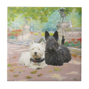Scottie e Westie em um Jardim