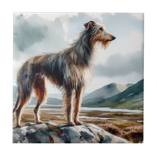 Scottish Deerhound (Frente)