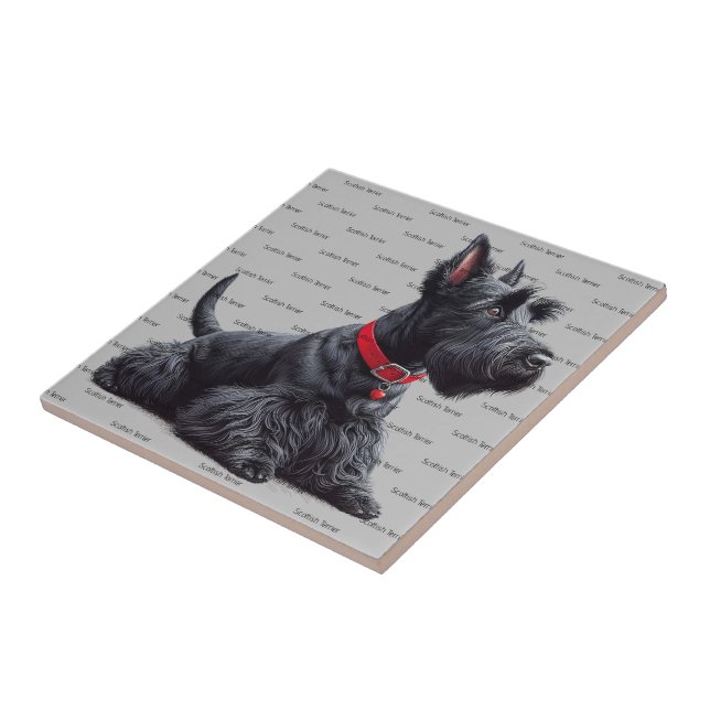 Scottish Terrier in (Lateral)
