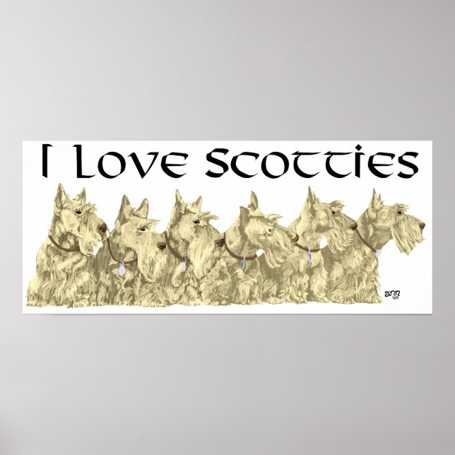Scottish Terrier Poster (Frente)