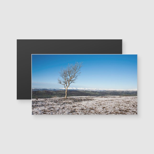 Scout Scar Winter Lake District Inglaterra (Frente/Verso)