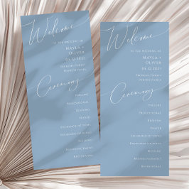 Script Whimsical | Programa Casamento Azul Dusty