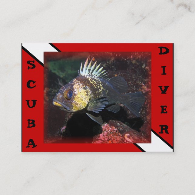 Scuba Diver Rockfish - Cartão de visita (Frente)