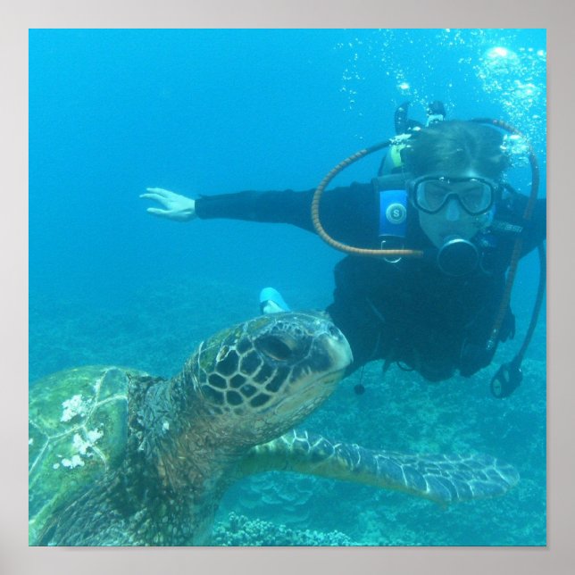 Scuba Underwater Life Poster (Frente)